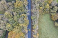 An aerial photo of a road between two rows of trees in the autumn.